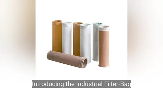 Industrial Filter-Bag Manufacturing Filterbag Dust Collector Polyester PPS PP PTFE Fiberglass Bag Dust Filter Bag with Filter